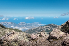 Calvi