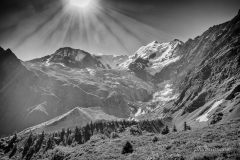 philbrun_01