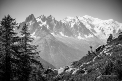 philbrun_03